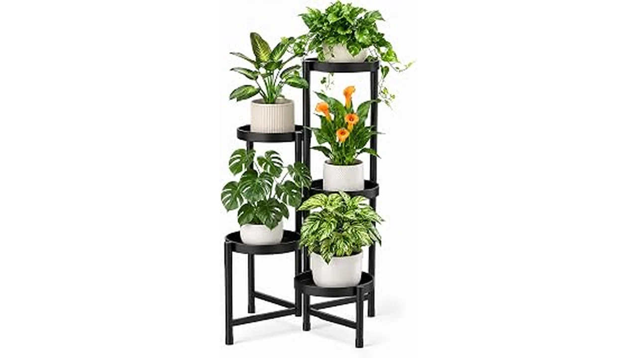 The image shows a stylish indoor plant stand holding a potted plant, showcasing flexible placement options.