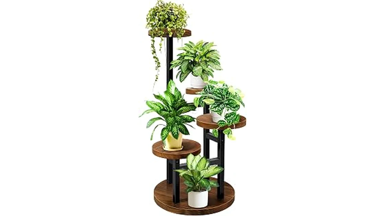 The image shows a stylish reclaimed wood plant stand holding a lush green plant, perfect for home decor.