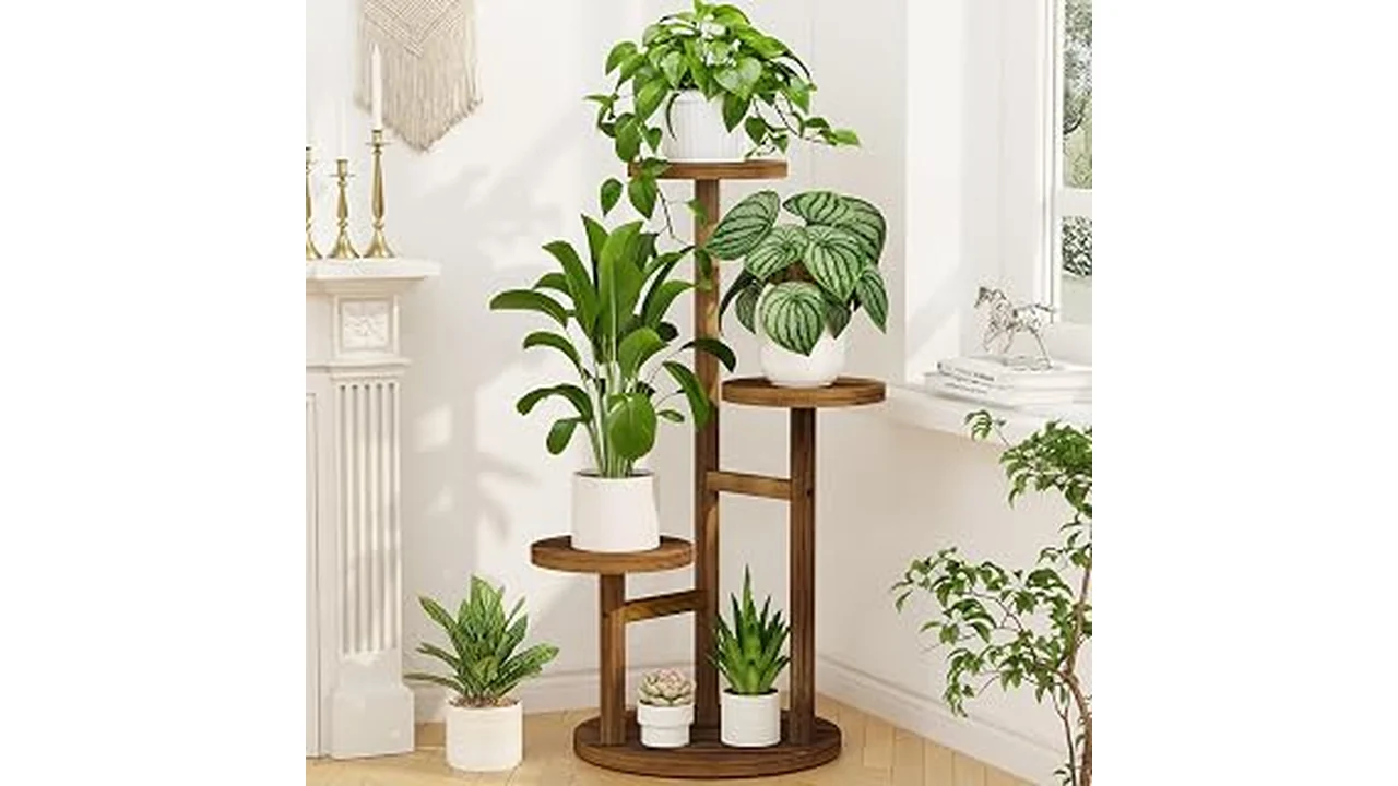 The image shows a collection of rustic wooden indoor plant stands, perfect for apartment living.