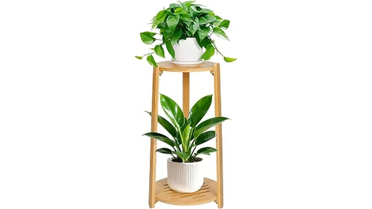 The image shows a stylish bamboo indoor plant stand with a potted green plant.