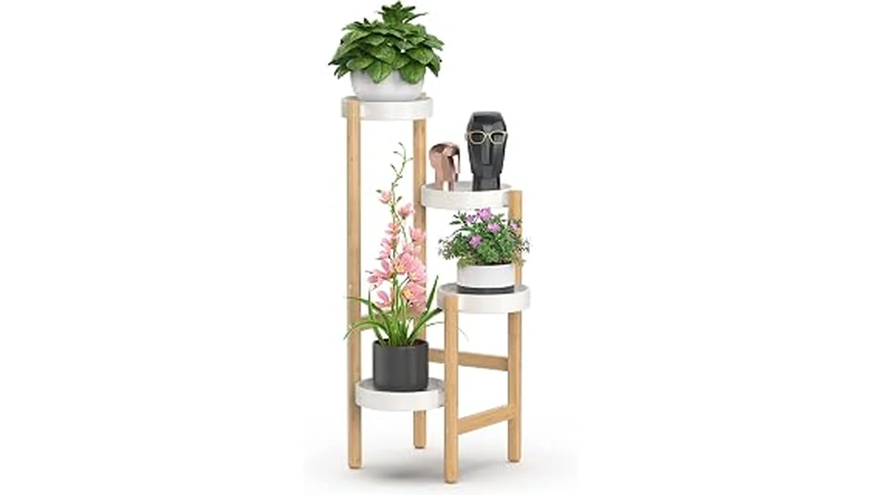 The image shows a stylish plant stand holding a lush plant, featured in the Best 10 Trendy Indoor Plant Stands review.