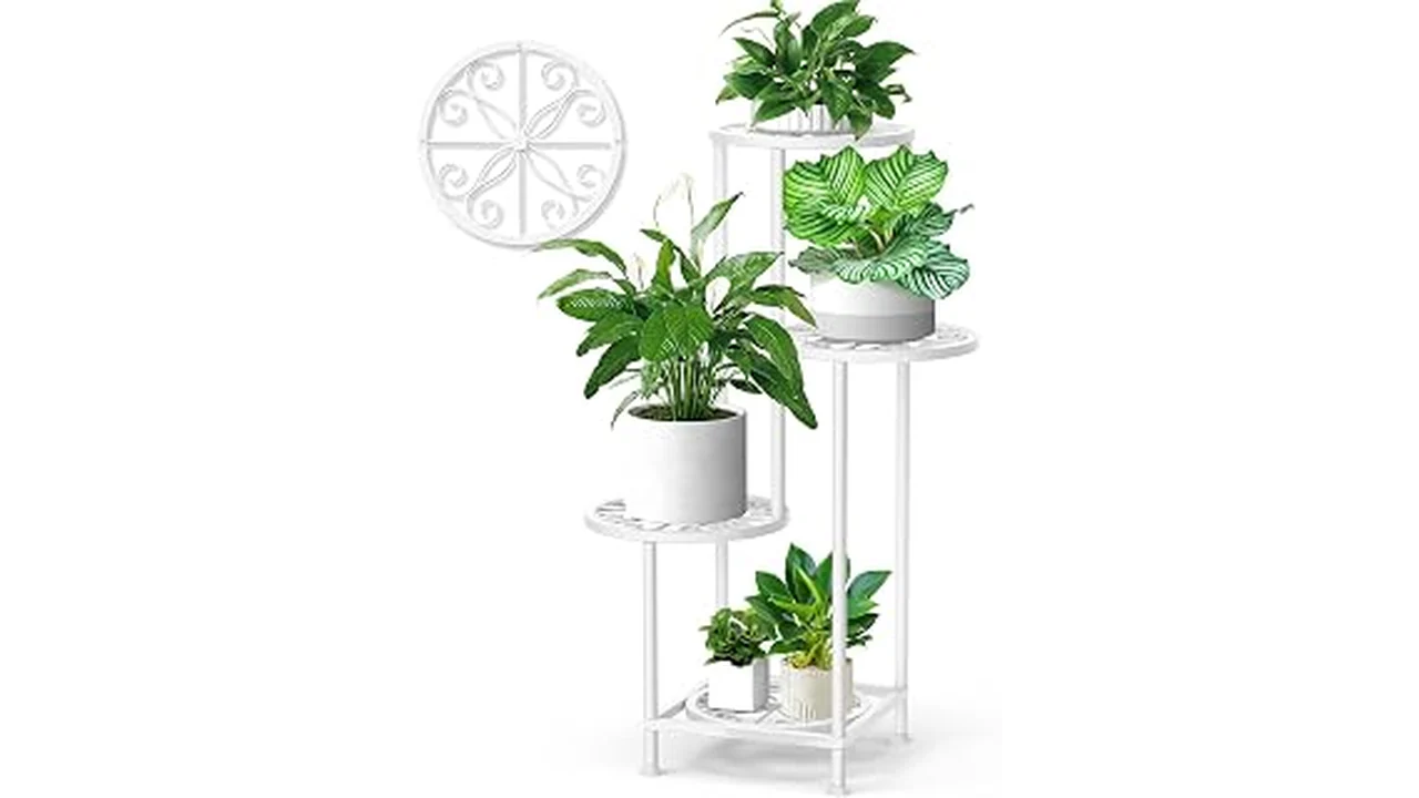 The image shows a collection of elegant white metal stands holding various houseplants indoors.