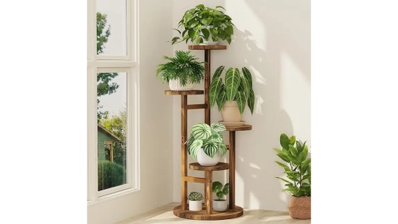 The image shows a stylish wooden plant stand holding a lush green houseplant, part of a review of top indoor plant stands.