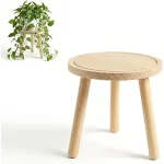 The image shows a stylish wooden indoor plant stand displaying multiple plants, perfect for your collection.