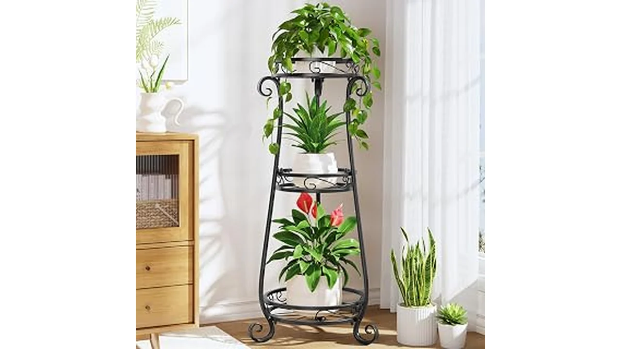 Best 10 Wrought Iron Indoor Plant Stand for Living Rooms
