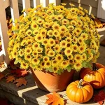 The image shows vibrant artificial flowers arranged outdoors, showcasing top picks for the best artificial flowers for outside review.